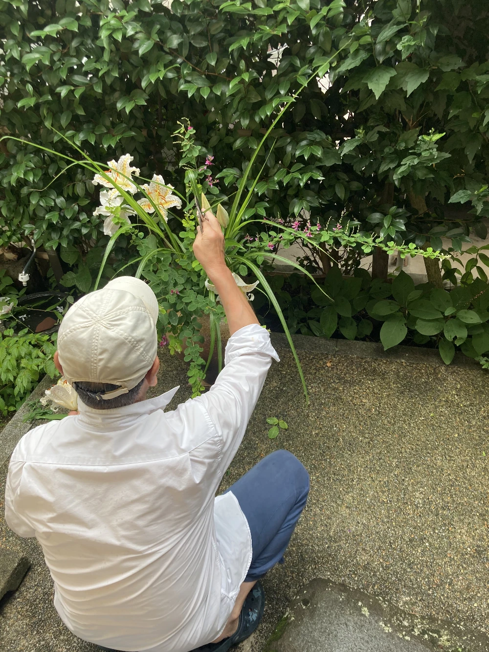 庭づくりに向き合う加藤さん