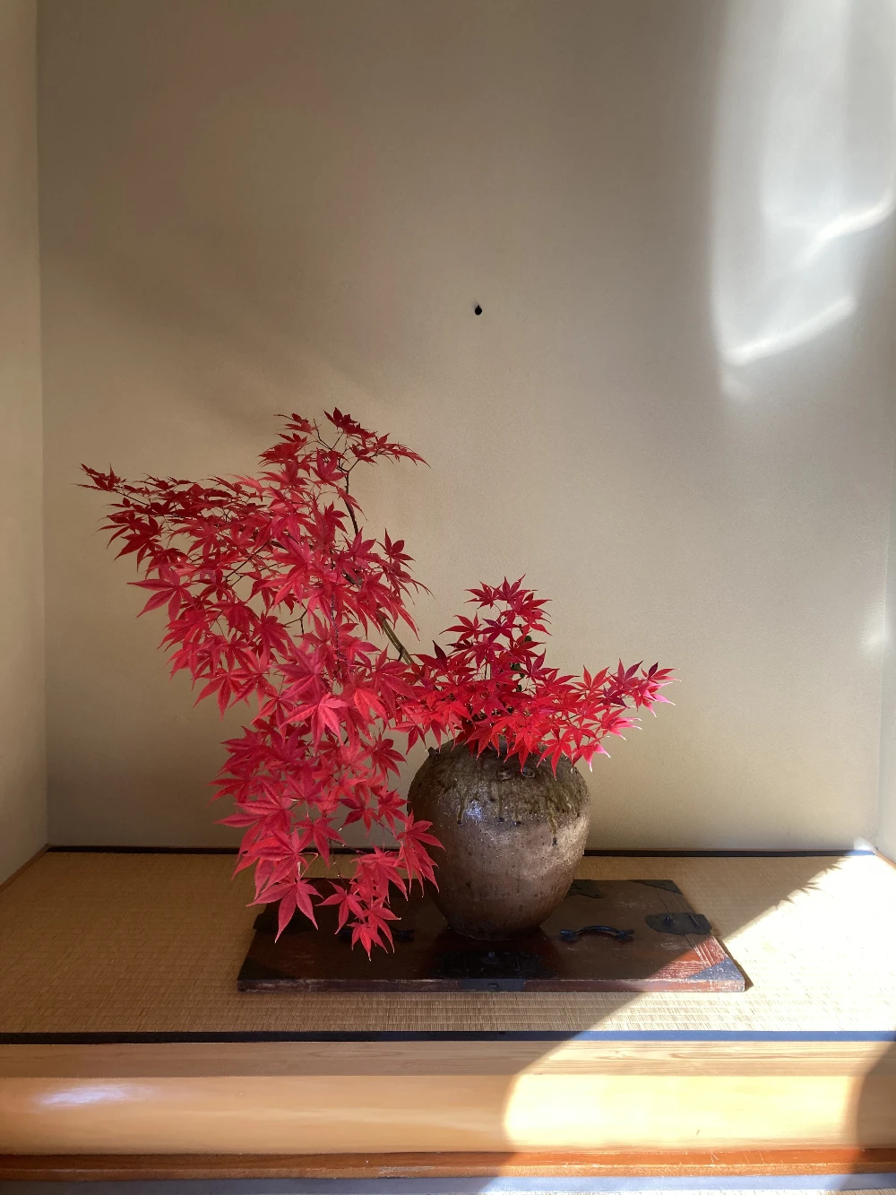 秋の一枝・紅葉のしつらい